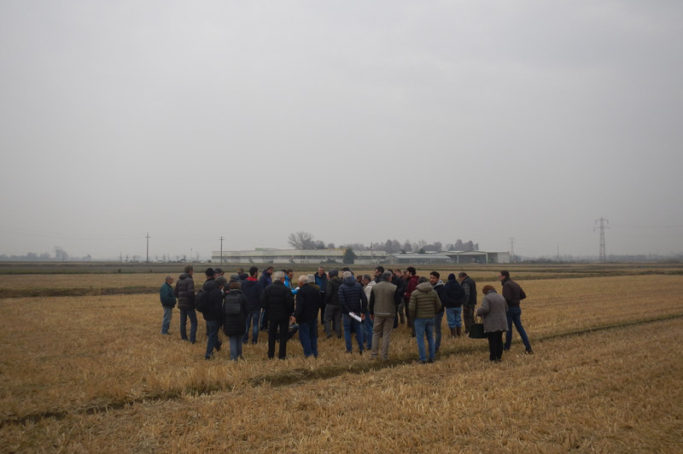 Ristec Visita ai campi dimostrativi sulle prove di sovescio