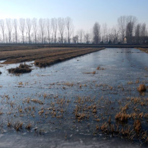 La tecnica della sommersione invernale