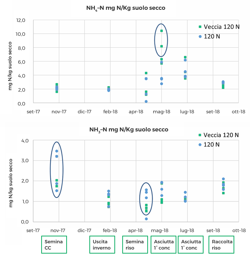 Figura 4 — concentrazione di azoto ammoniacale e nitrico misurato durante la stagione colturale 2017–2018