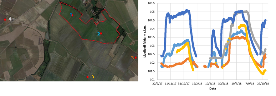 Fig. 10 — Livelli di falda (m s.l.m.) misurati nell’unità aziendale U1 per il periodo ottobre 2017- ottobre 2018; i colori del grafico dei livelli sono i medesimi usati per la numerazione dei pozzi in mappa