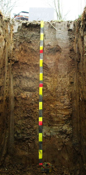 fig.9 Figura 9 — Esempio di profilo pedologico aperto nell’unità aziendale U1